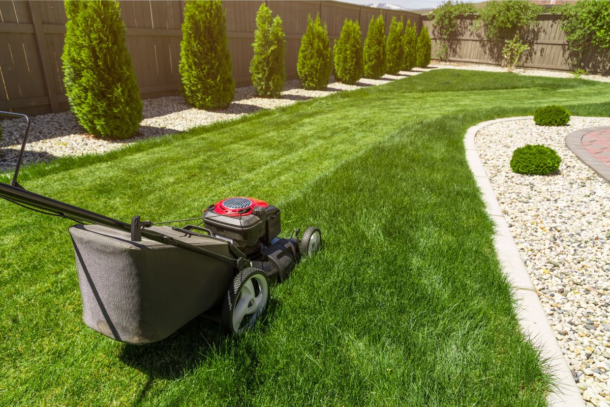 Lawn Care